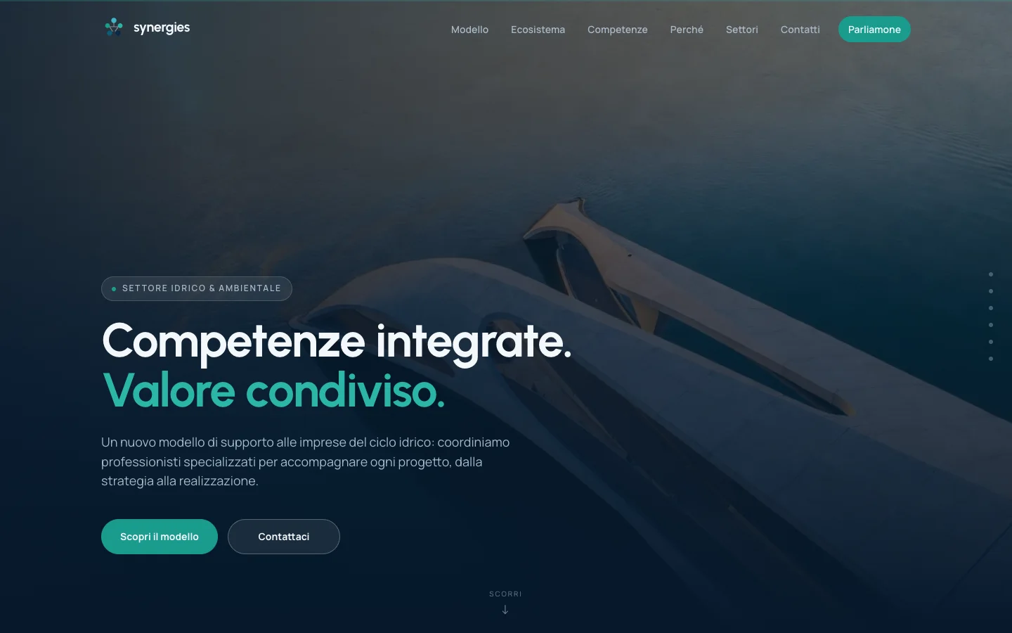 Homepage Synergies, progetto pubblicato
